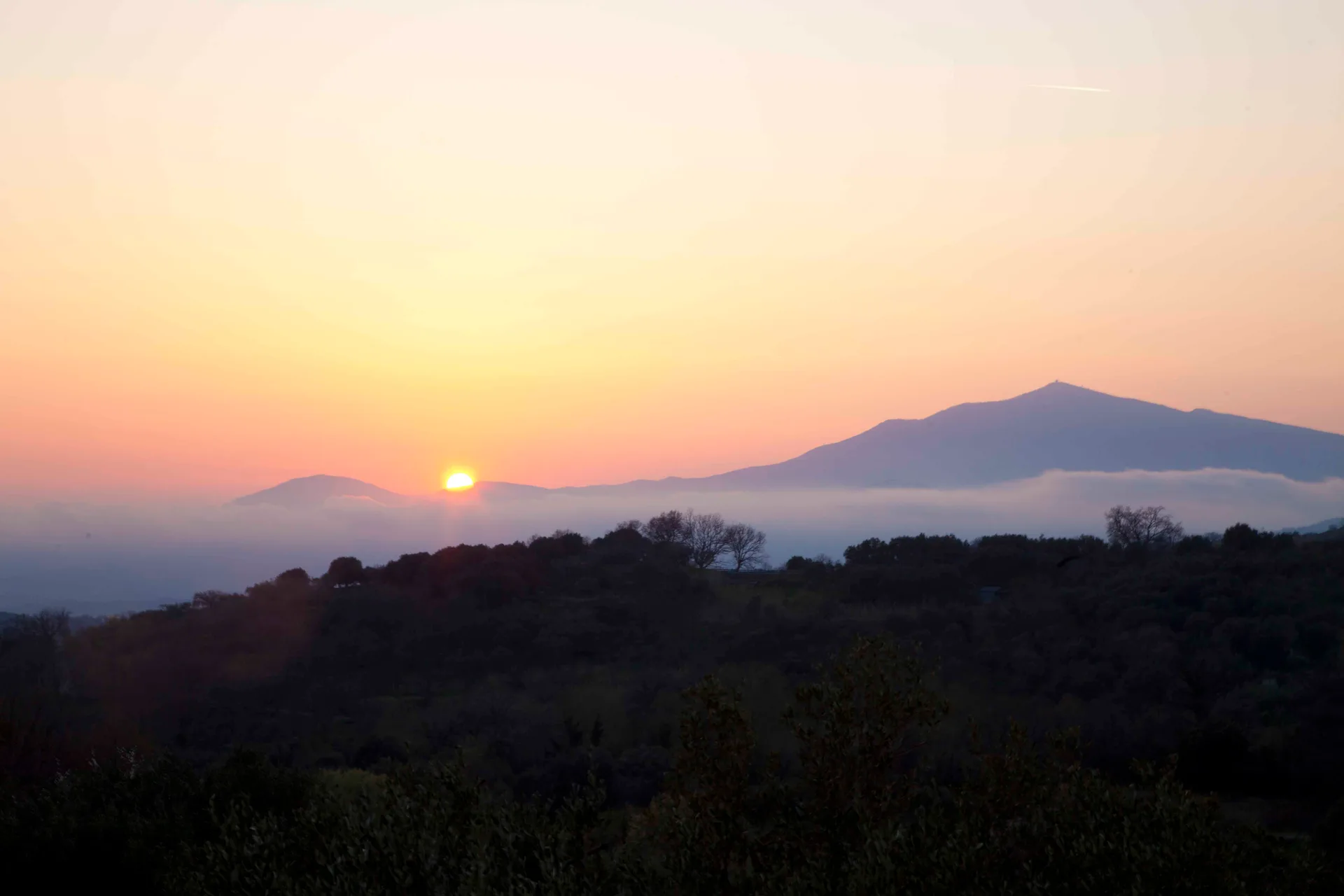 7 Fusco's property _ Cilento national park-1720.jpg