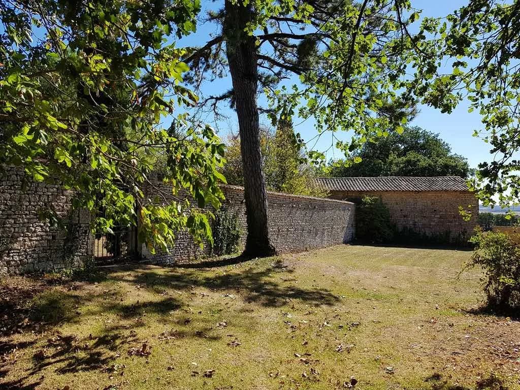 *GARDEN WALL.jpg