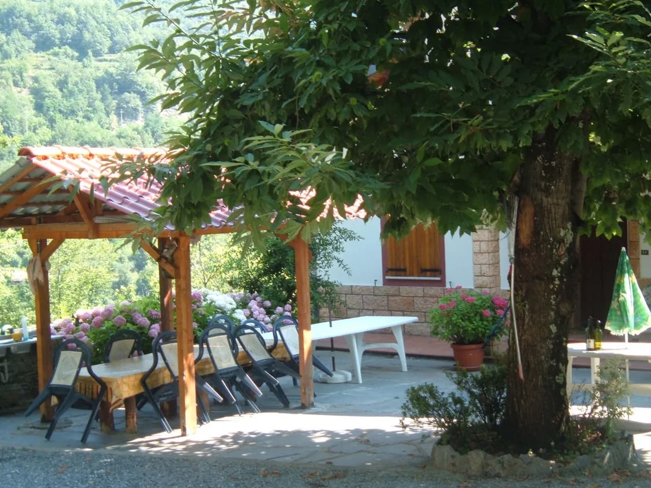 dscf0613_1.jpeg