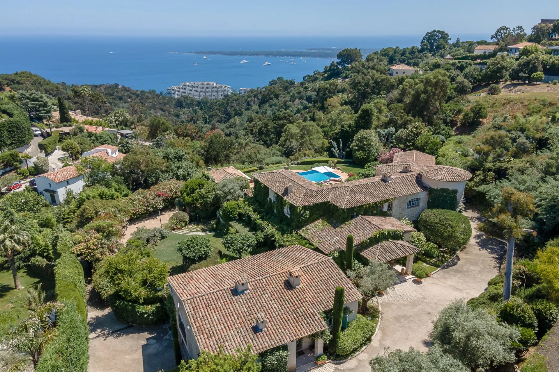 Picture-4989144-17.jpg