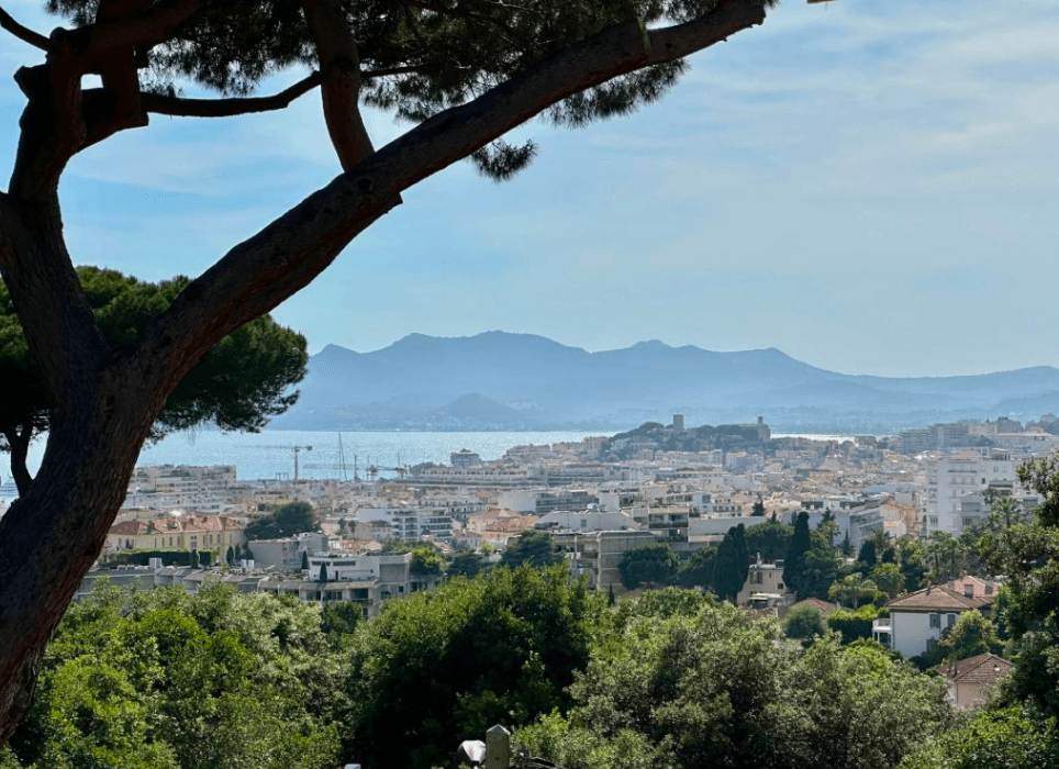 Cannes | Flott villa med havutsikt og svømmebasseng i rolige omgivelser, basse californie